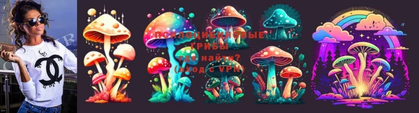 apvp Алзамай