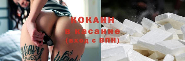 бошки Алексин