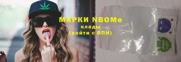apvp Алзамай