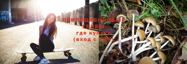 бошки Алексин